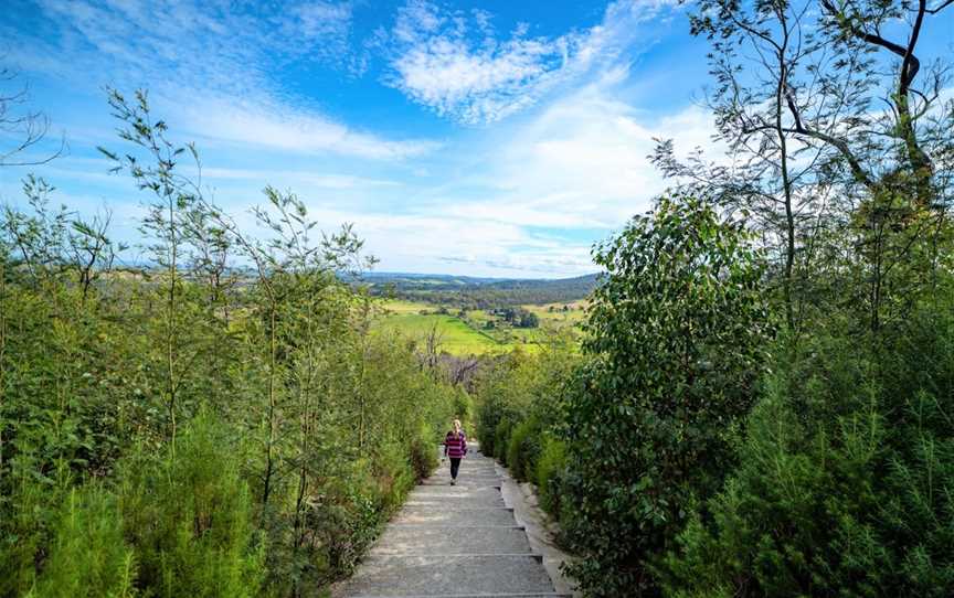 Mt Cannibal Flora and Fauna Reserve Walk, Garfield North, VIC