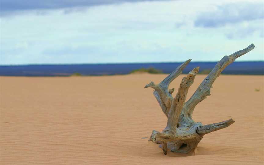 Mungo National Park, Pan Ban, NSW