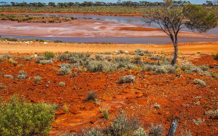 Lake Gairdner National Park, Wudinna, SA