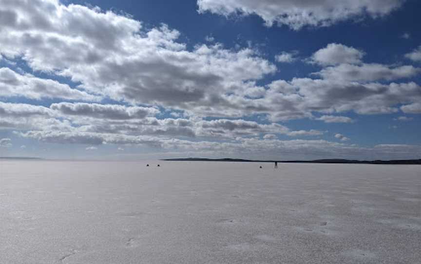 Lake Gairdner National Park, Wudinna, SA