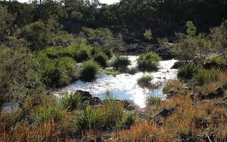 Kings Plains National Park, Gilgai, NSW