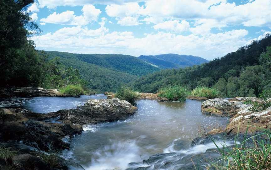 Springbrook Plateau, Springbrook National Park, Springbrook, QLD