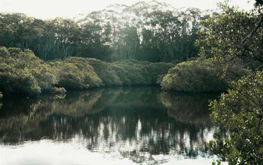 Kooloonbung Creek Nature Reserve and Historic Cemetery, Port Macquarie, NSW