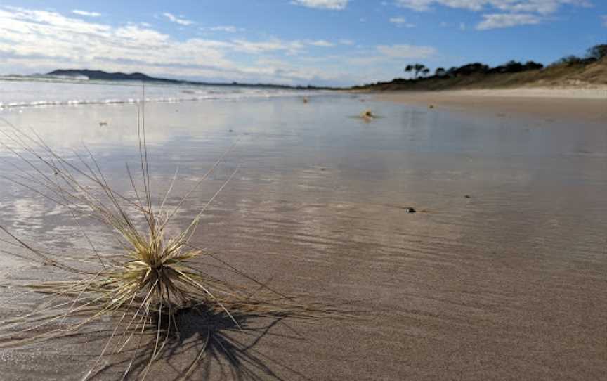 Tyagarah Nature Reserve, Tyagarah, NSW