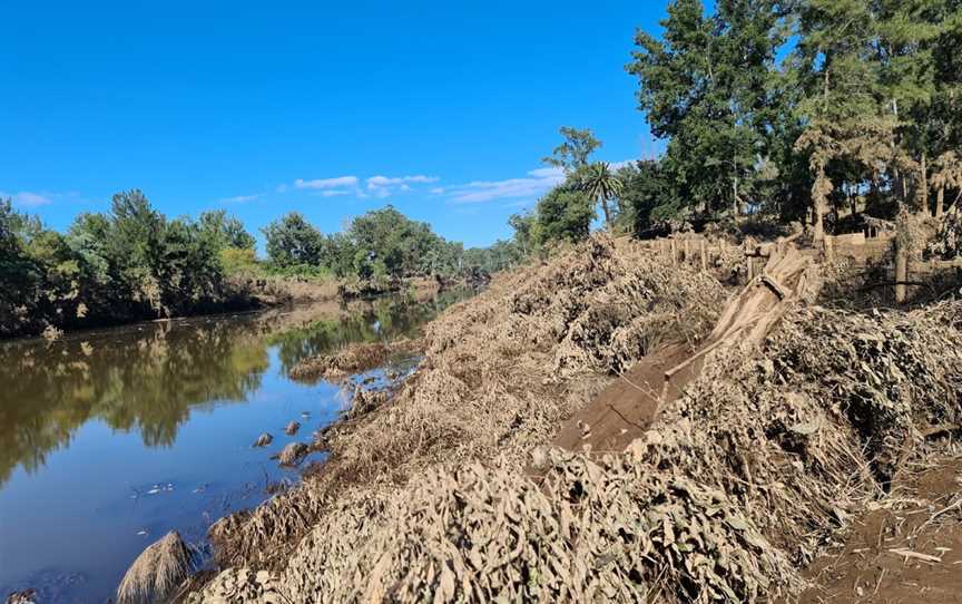 Navua Reserve, Grose Wold, NSW