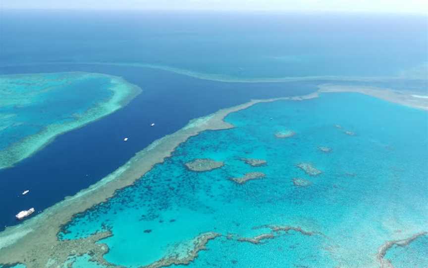 Hardy Reef, Hook Island, QLD