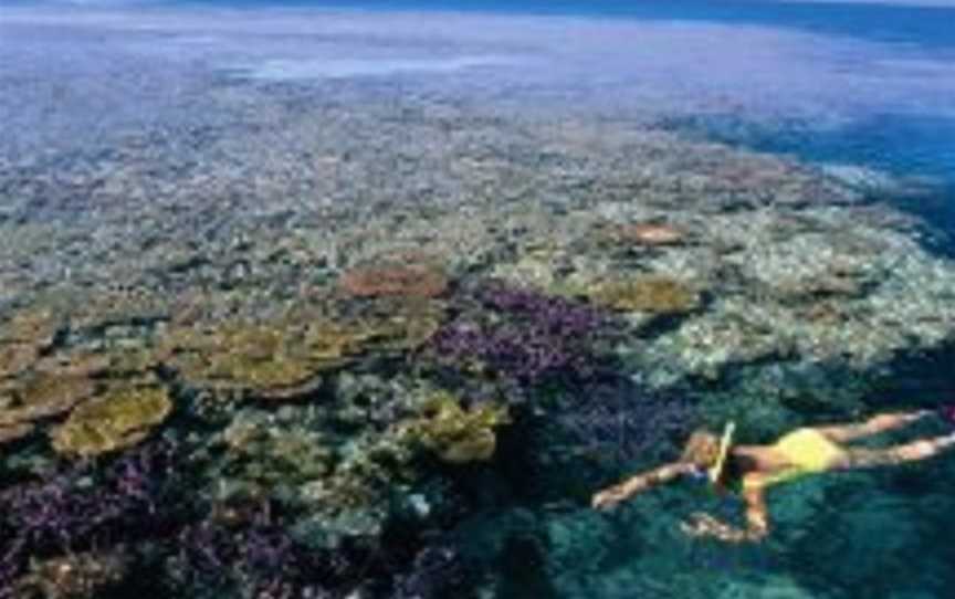 Hardy Reef, Hook Island, QLD