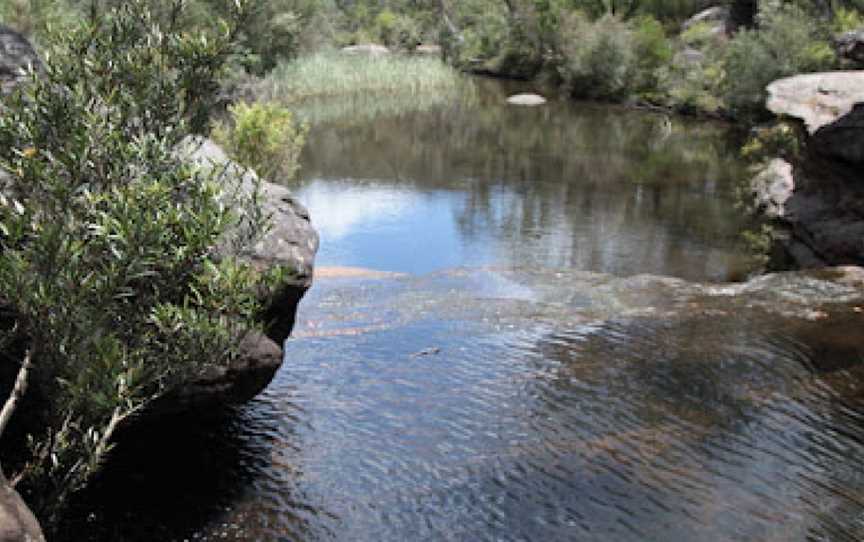 Heathcote National Park, Heathcote, NSW