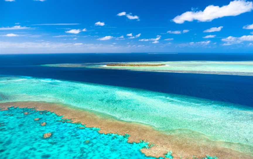 Coral Gardens, Heron Island, QLD