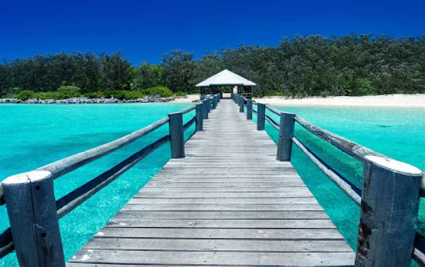 Coral Gardens, Heron Island, QLD