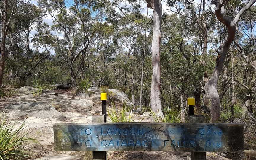 South Lawson Waterfall Circuit, Lawson, NSW