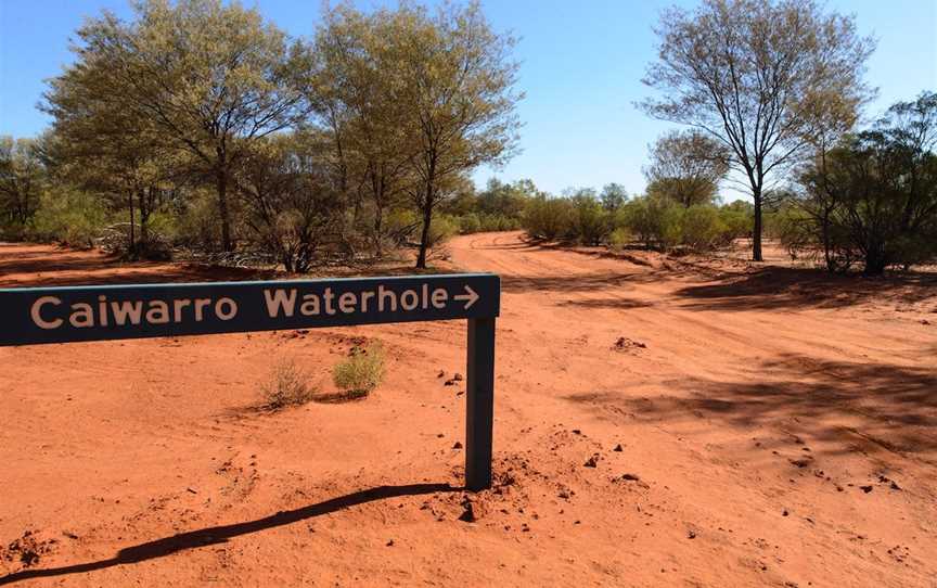 Caiwarra - Paroo River Fishing Spot, Hungerford, QLD