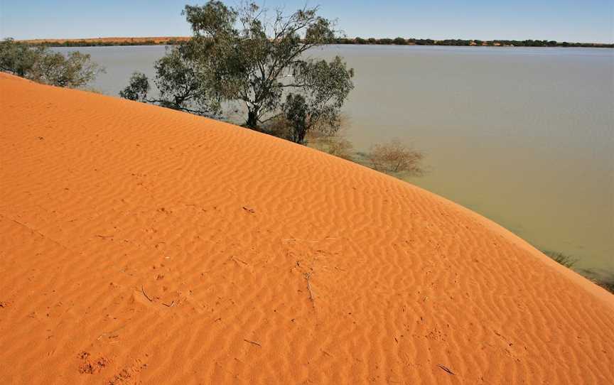 Innamincka Regional Reserve, Innamincka, SA