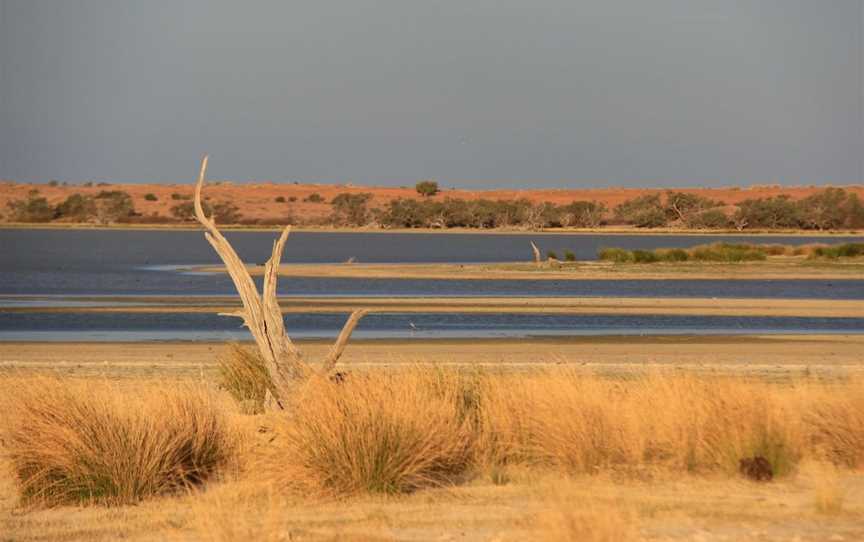 Innamincka Regional Reserve, Innamincka, SA