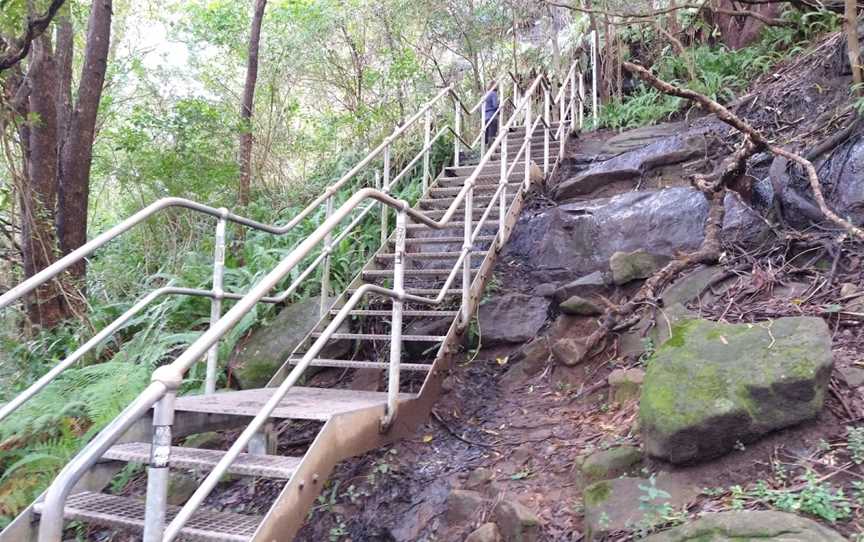 Wolli Creek Walking Track, Earlwood, NSW