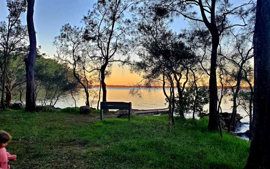 Queens Lake Nature Reserve, Jolly Nose, NSW