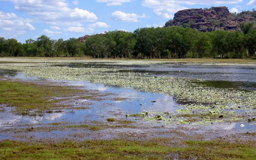 Anbangbang Billabong, Kakadu, NT