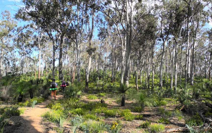 Bibbulmun Track, Kalamunda, WA