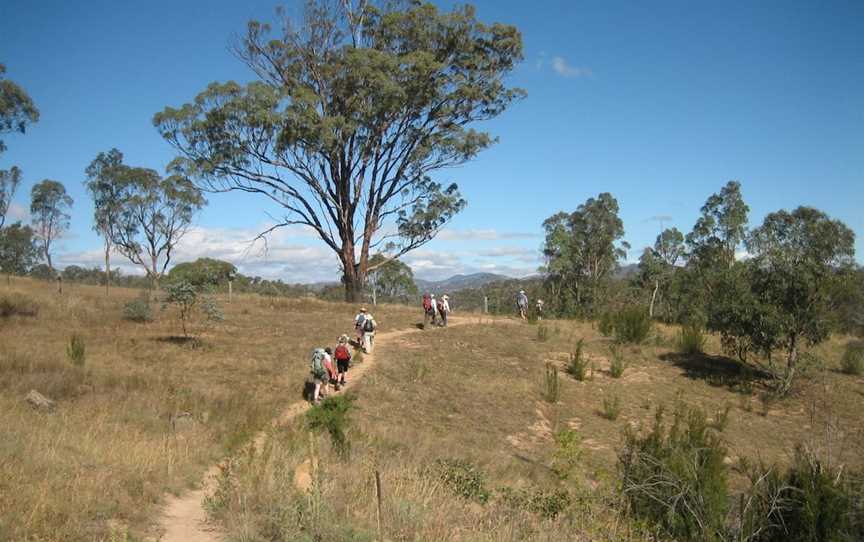 Kambah Pool to Pine Island Walking Trail, Tuggeranong, ACT