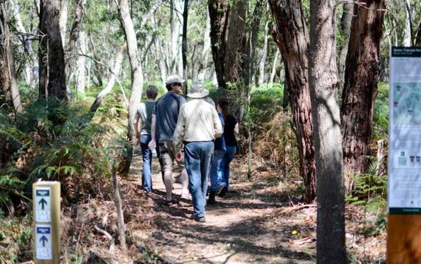 Honan Native Forest and  Mint Trail, Glencoe, SA