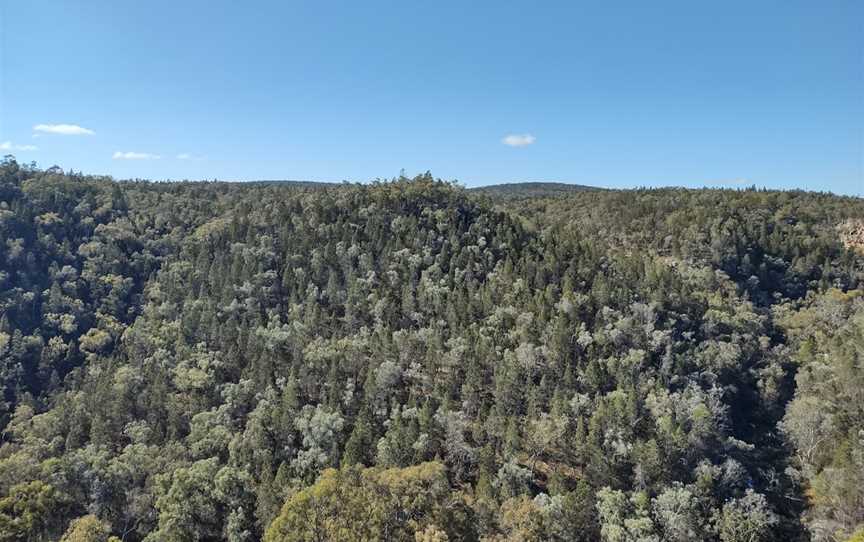 Conimbla National Park, Grenfell, NSW