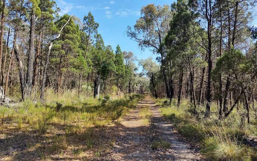 Conimbla National Park, Grenfell, NSW