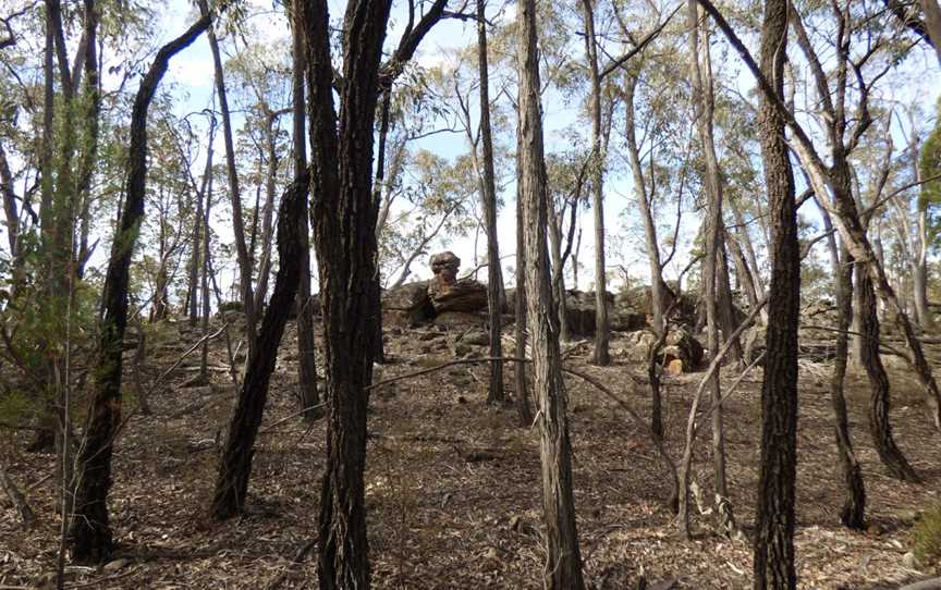 Conimbla National Park, Grenfell, NSW