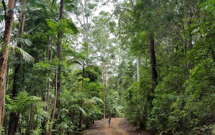 Ulidarra National Park, Karangi, NSW