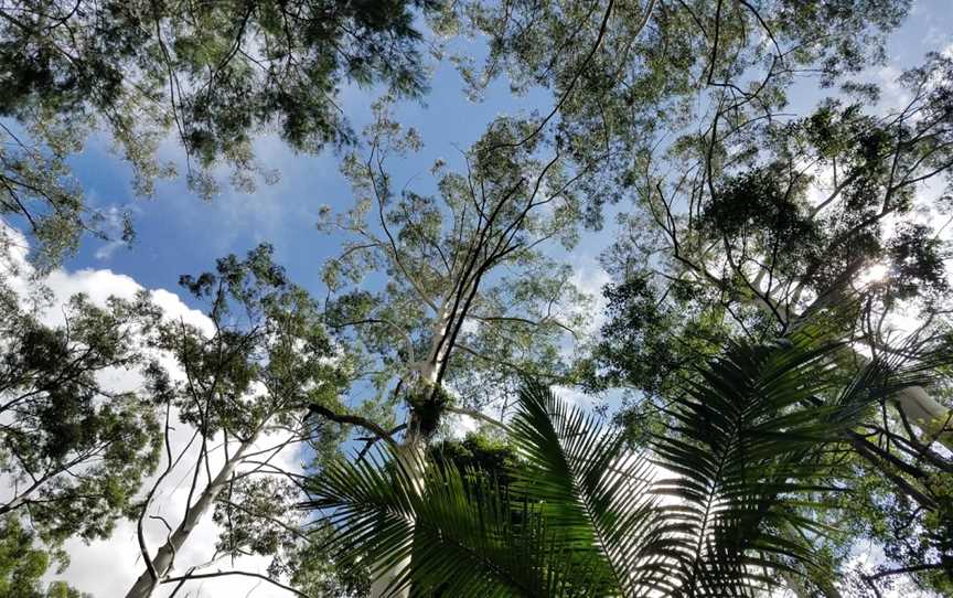 Ulidarra National Park, Karangi, NSW