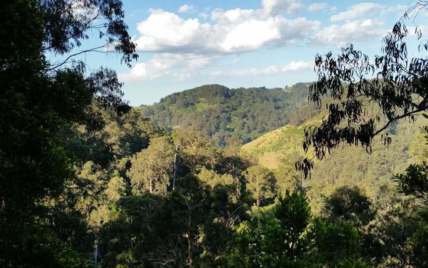 Morwell National Park, Morwell, VIC