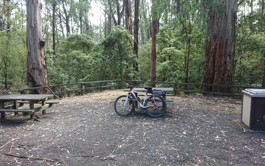 Morwell National Park, Morwell, VIC