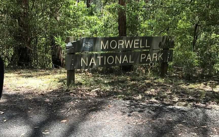 Morwell National Park, Morwell, VIC