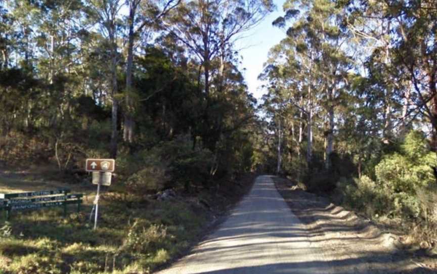 Box Cutting Rainforest Walk, Kianga, NSW