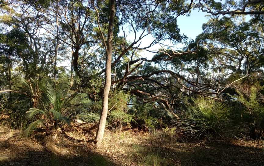 Allen Strom lookout, Killcare, NSW