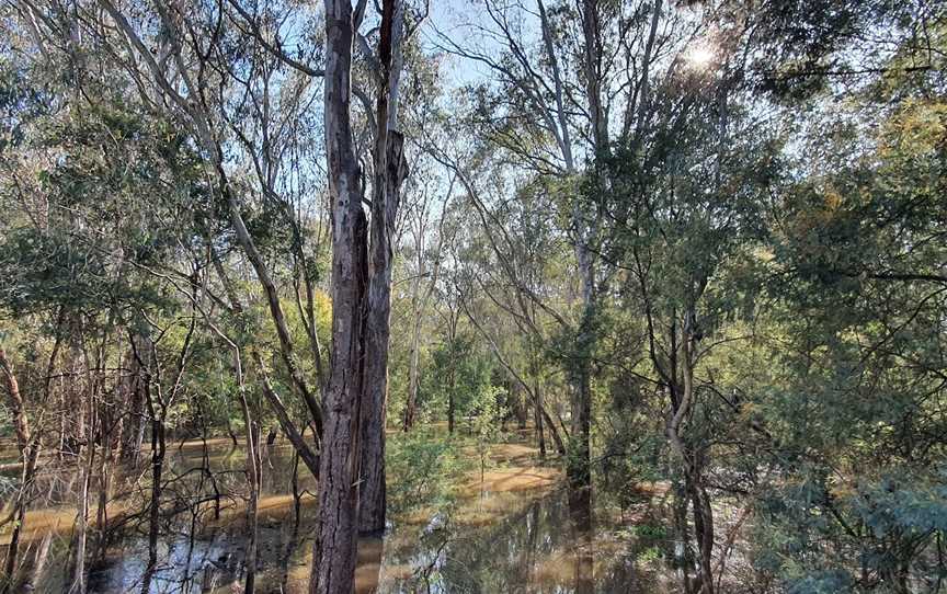 King River, King Valley, VIC