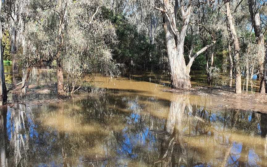 King River, King Valley, VIC