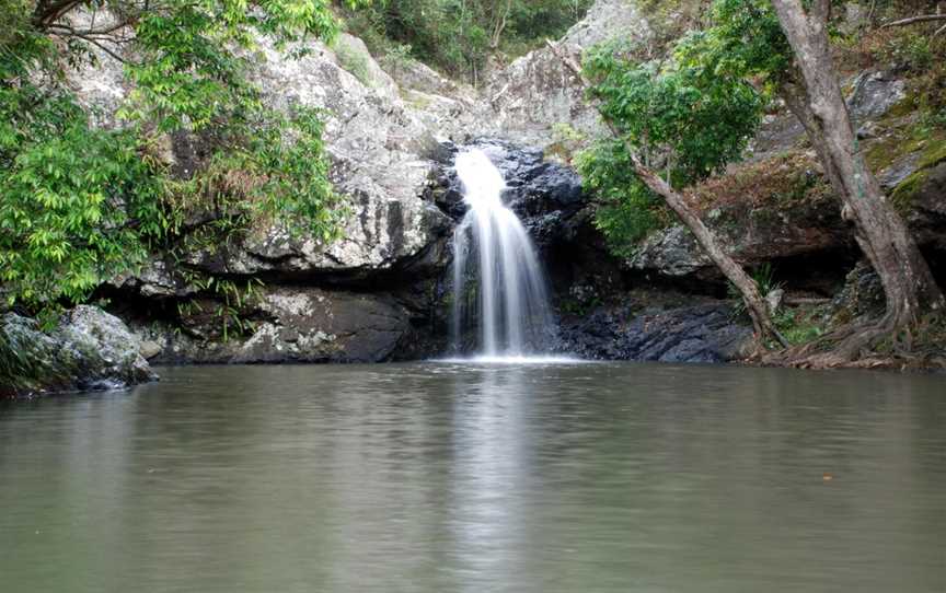 Kondalilla National Park, Montville, QLD