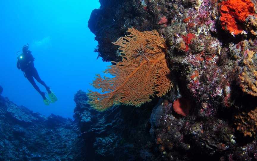 The Blowhole, Lady Elliot Island, QLD