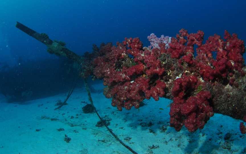 Severance Shipwreck Dive Site, Lady Elliot Island, QLD