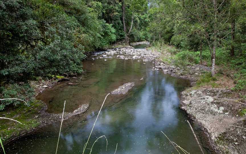 Allyn River Rainforest Walk, Upper Allyn, NSW