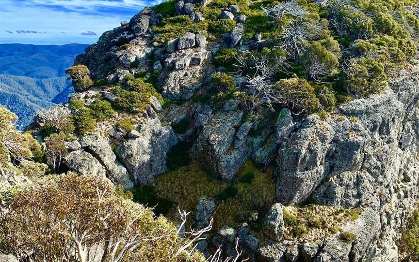 Mt Cobbler Walking Track, Wabonga, VIC