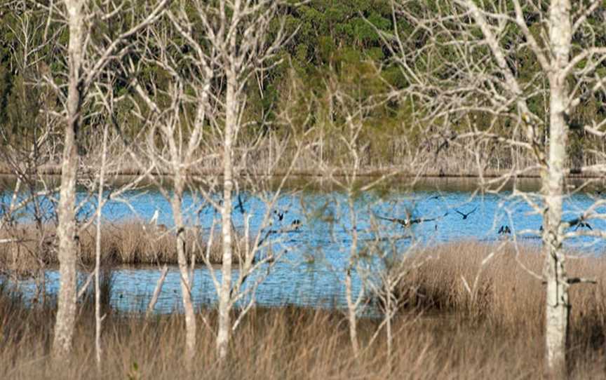 Pattimores Lagoon, Lake Conjola, NSW