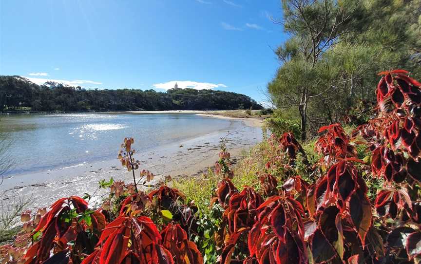 Woolgoolga Lake, Woolgoolga, NSW