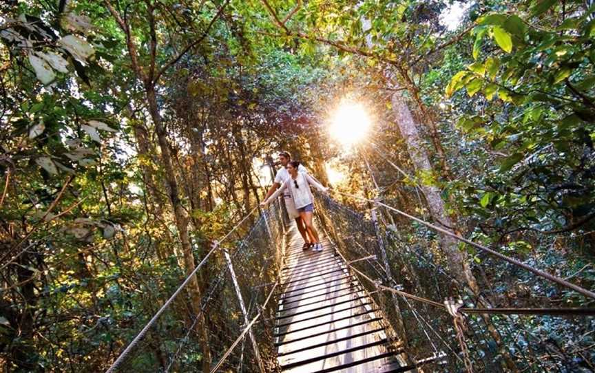 O'Reilly's Tree Top Walk, Canungra, QLD