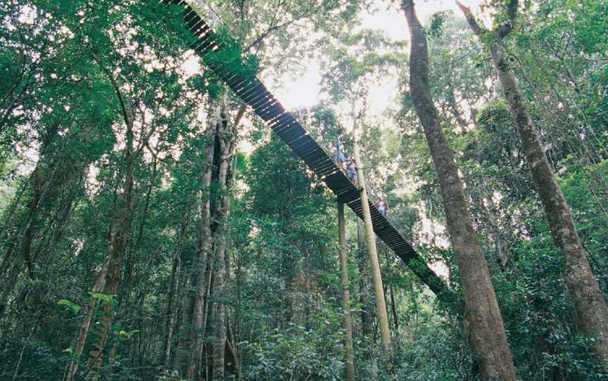 O'Reilly's Tree Top Walk, Canungra, QLD