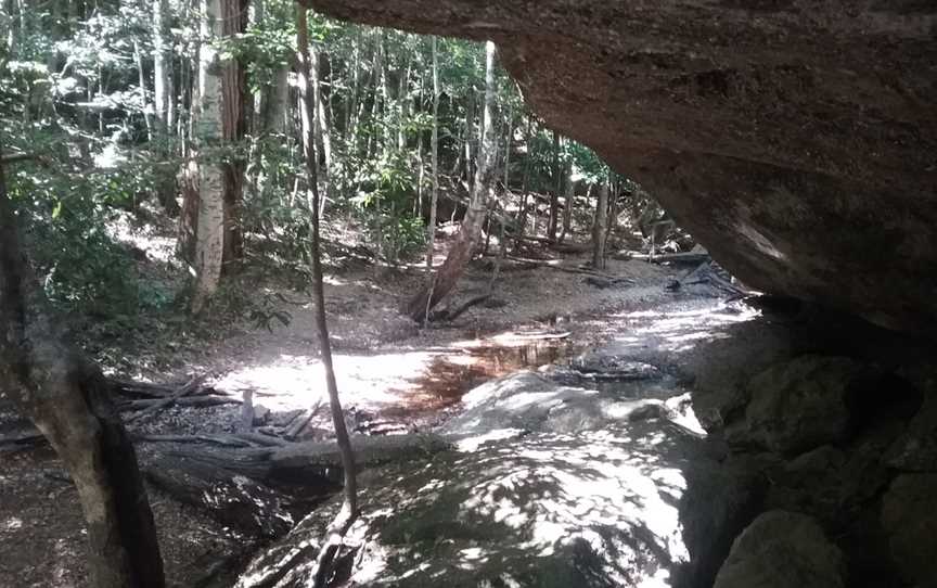 Newbys lookout, Lansdowne Forest, NSW