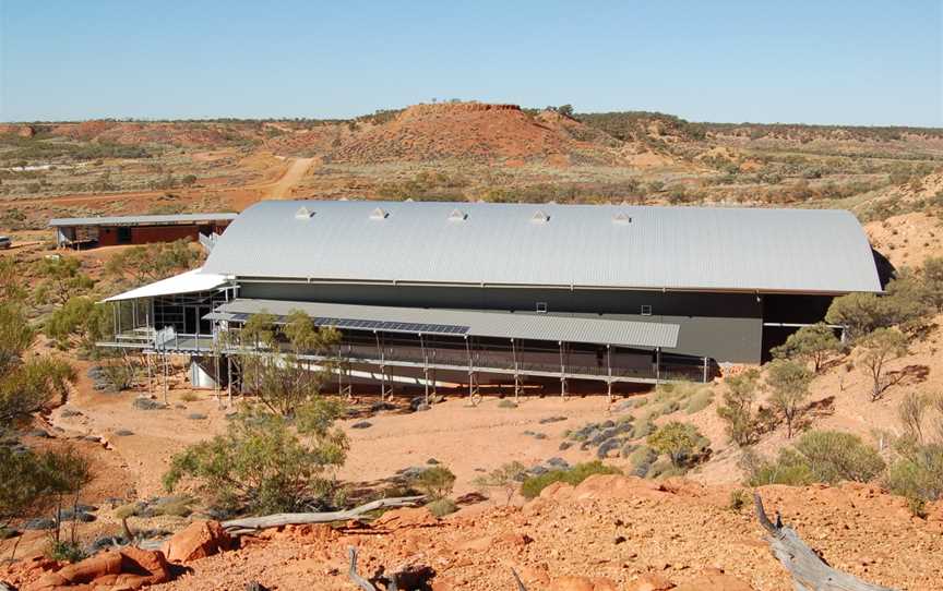 Lark Quarry Conservation Park, Winton, QLD