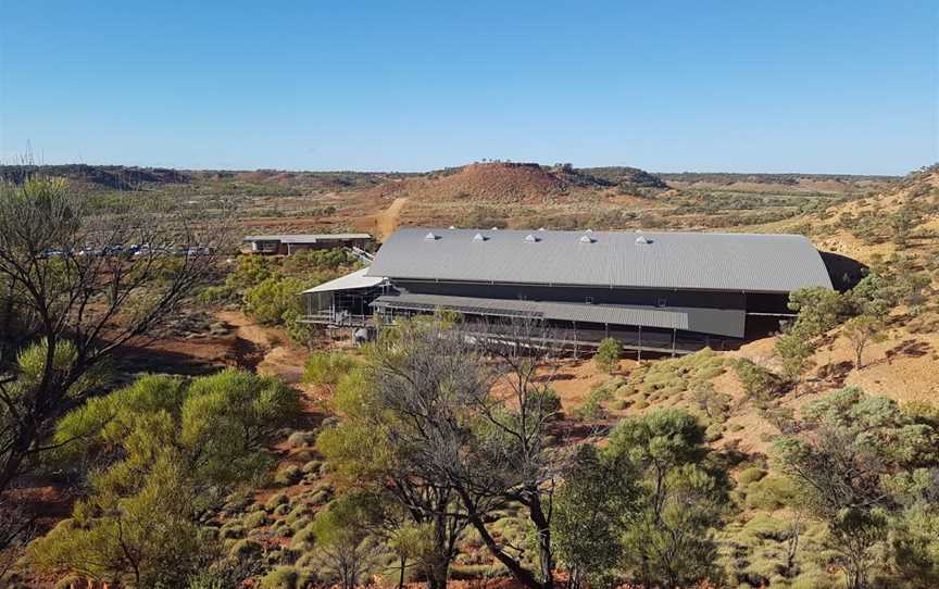 Lark Quarry Conservation Park, Winton, QLD