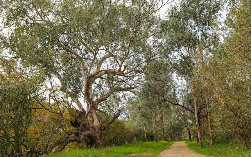 Crossing Place Trail, Gateway Island, VIC