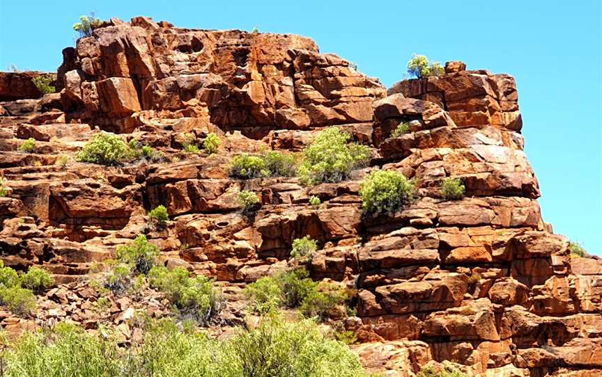 Whyalla Conservation Park, Whyalla, SA